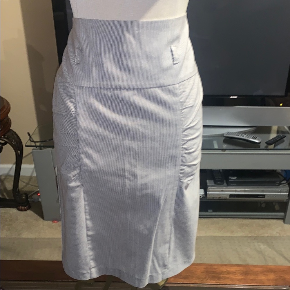 Elegant Gray Women's Skirt